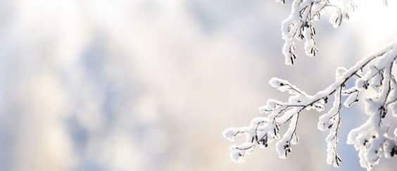 La douceur de l’hiver