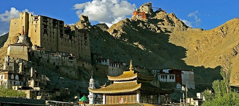 L'Art du Tissage : La Passion Derrière les Écharpes July to June